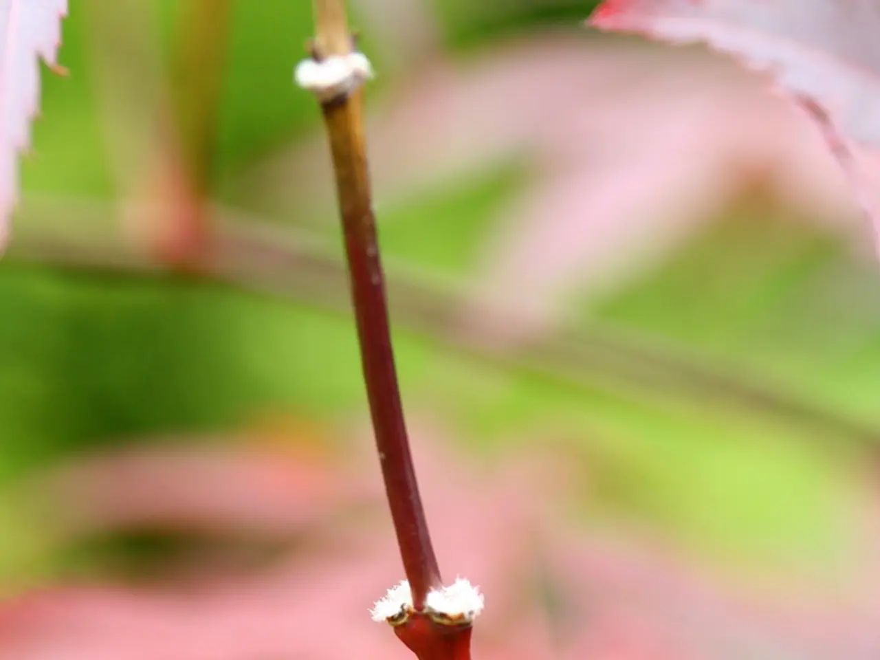 Investigation Underway: Monsey-Based Company Wohl & Fruchter Examining Equitability of Core...