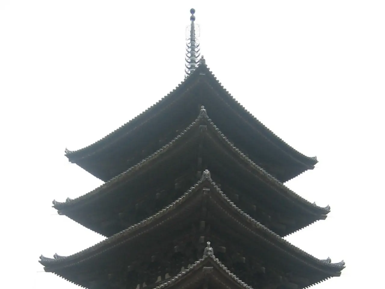 International Trade Organization Warns of Substantial collapse in China-US Trade Relations