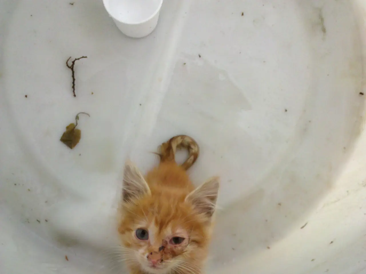 Adjusting Boiler Flow Temperature for Energy Cost Reduction in Heating Bills