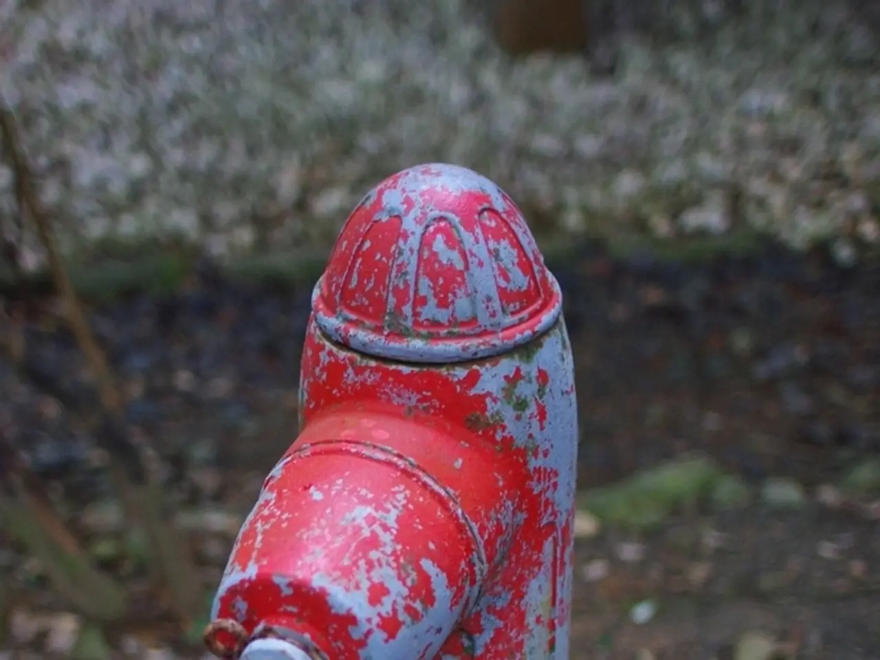 Water costs set to jump by 30% over the next decade, with mandatory meter installations possible.