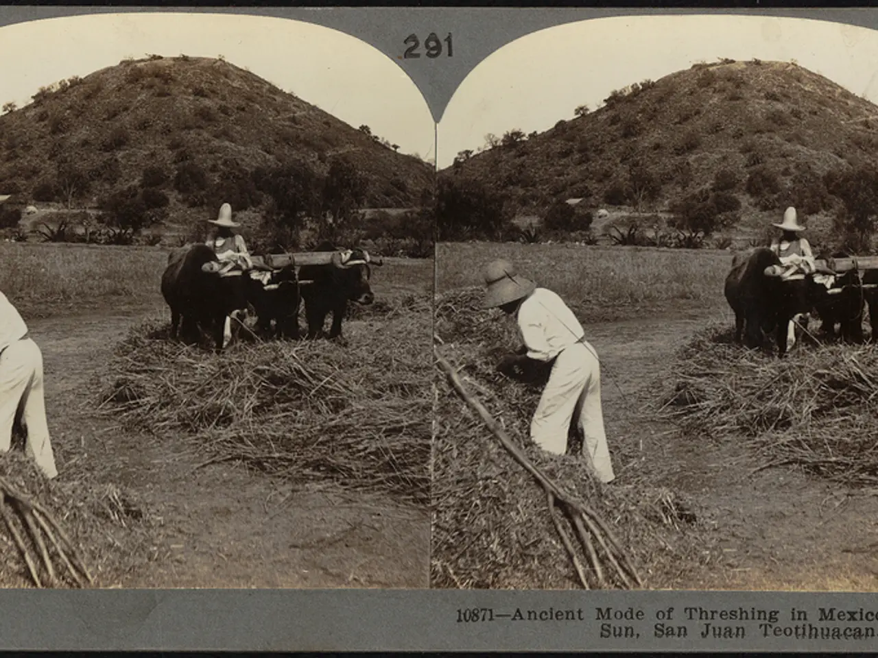 Success for the City: Mining conglomerate abandons plan for New York relocation