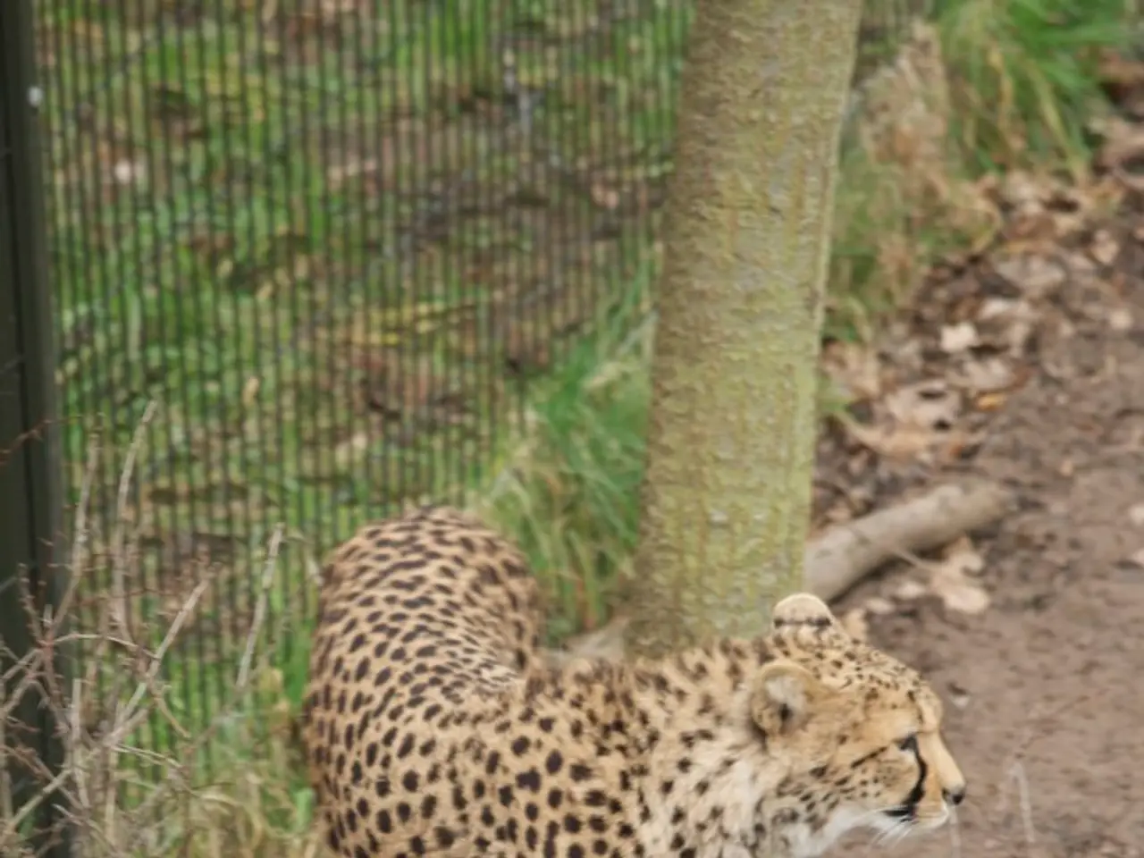 Employers in California face stricter regulations as authorities clamp down on off-the-books...