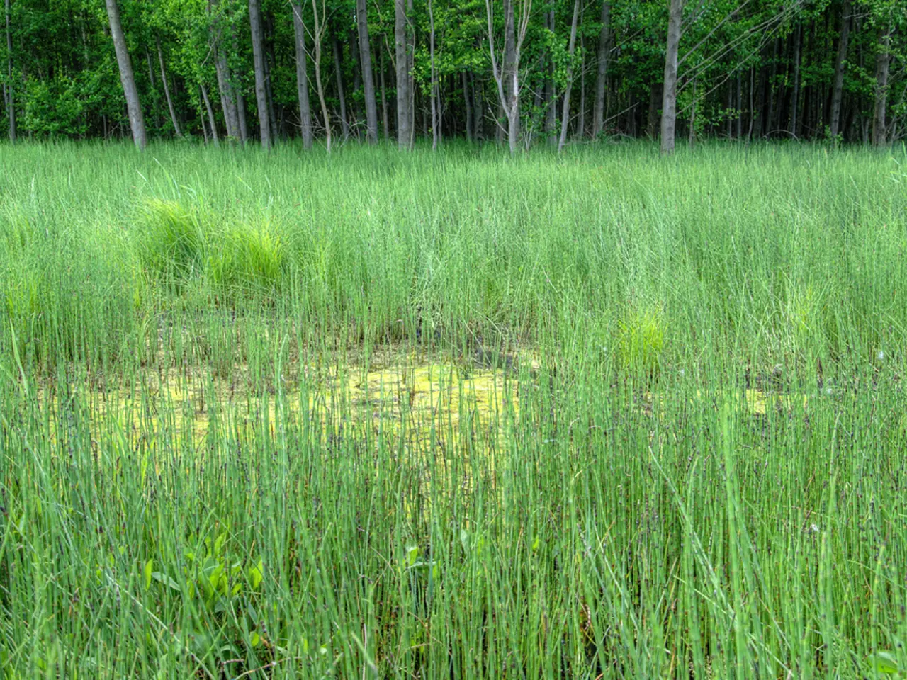Aminocore Hosts the Mayor for a Visit