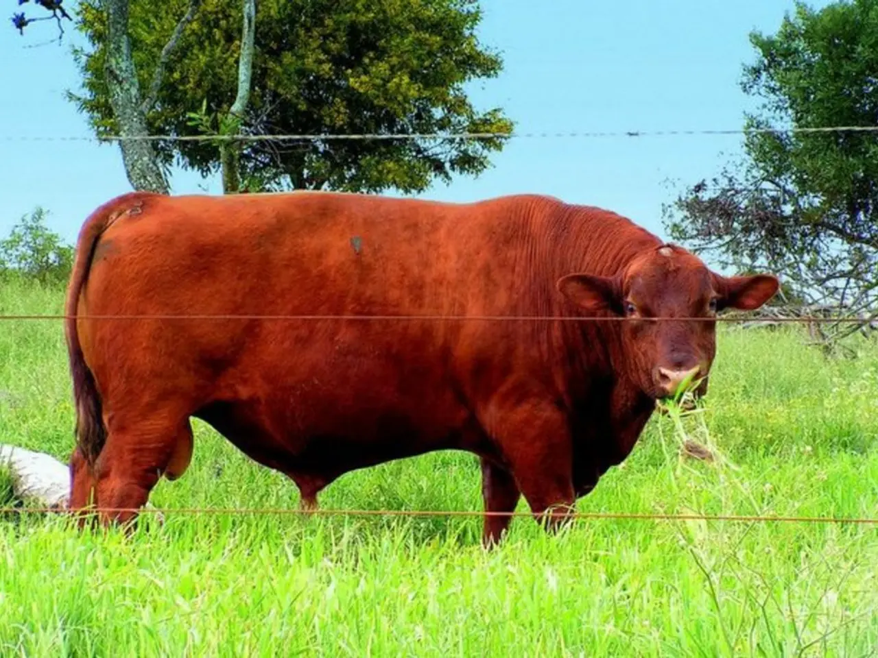 Cryptocurrency Floki soars as potential buyers aim for a bullish surge towards $0.00025 prior to...