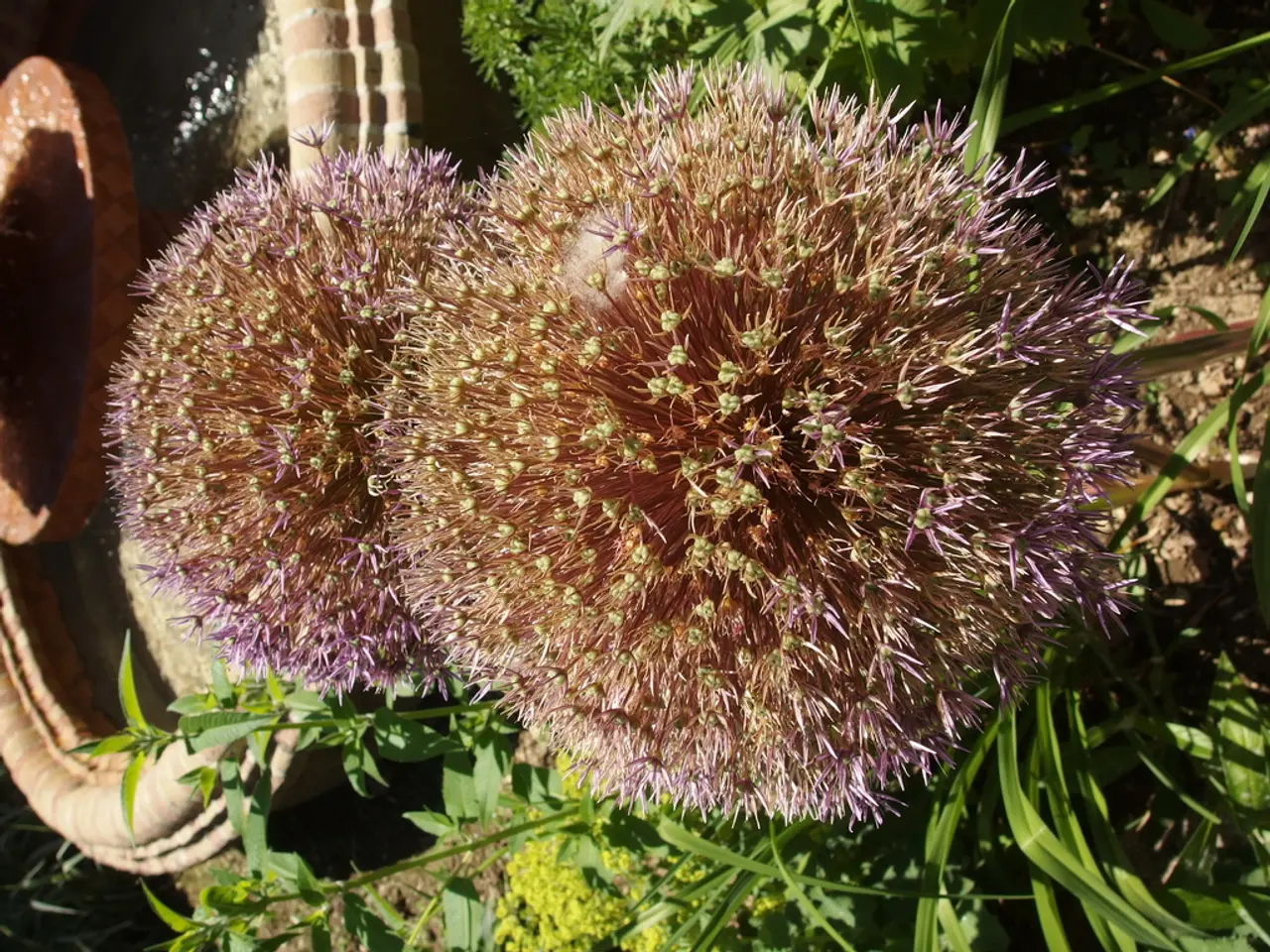 Emergency Financial Reserve: Understanding Its Nature and Importance for Your Wallet