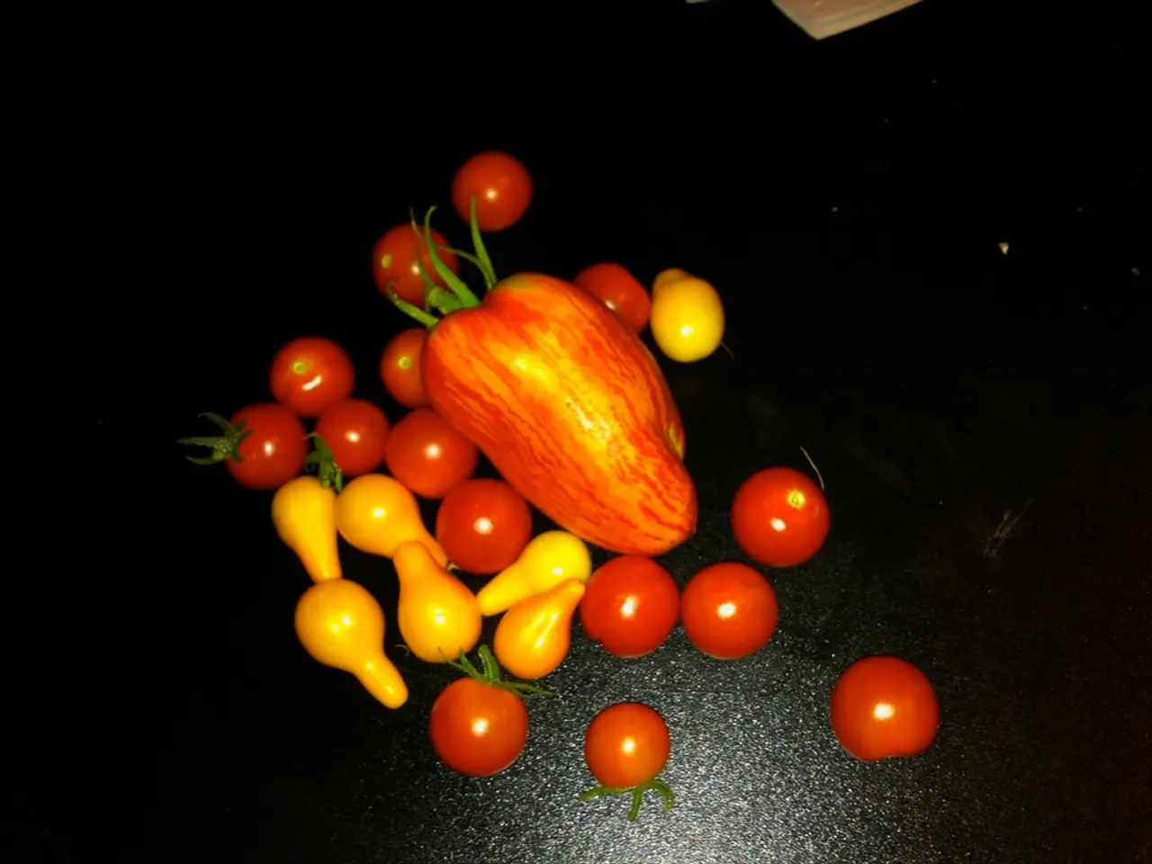 Expansion of allocated growing areas in An Giang Province to boost export potential