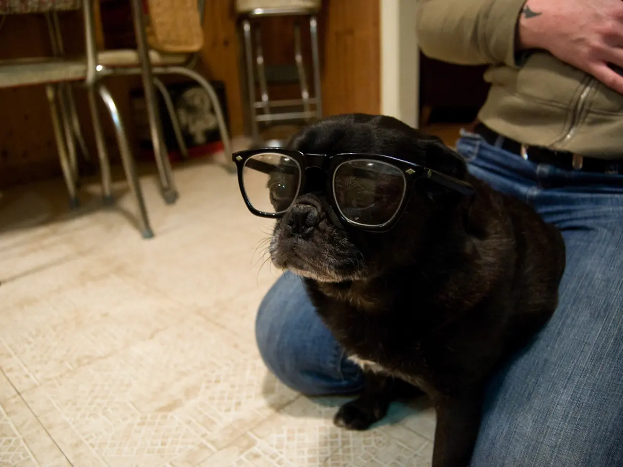 Brands in Home Decoration Circles Vulnerable to Extinction? From Black Cat to Domestic Interiors.