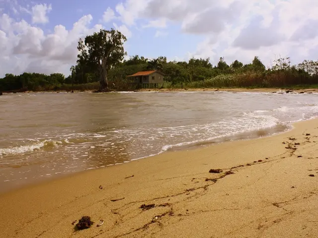 Cost Analysis Before Purchasing a Seaside Property: Know What You're Getting Into Prior to Your...