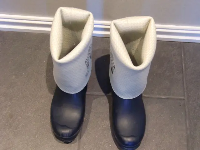 Strategies to Secure Financing for Your Startup Enterprise