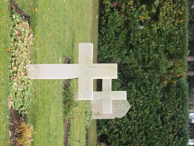 Grim Signals for Shiba Inu (SHIB) as Death Cross Approaches: What Happens Next?