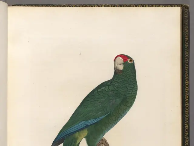 Top 15 Little-Known Trading Wisdom Gems