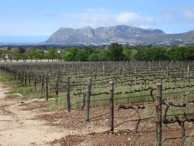 Investigative Study of Farmland Valuations in India Through Decades