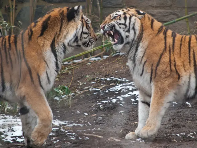 Unresolved dispute over a 1 billion shilling debt draws attention to a 20-year long dispute in...