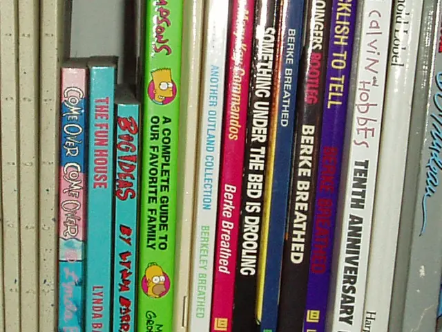 Accedo Group Initiates Speedy Fundraising Campaign, Aiming to Collect as Much as EUR 230 Million