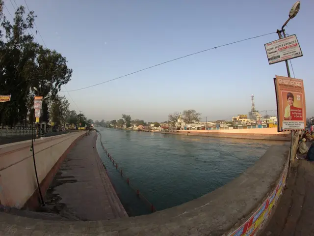 South African Competition Tribunal Grants Conditional Approval for Merger of CANAL+ and MultiChoice