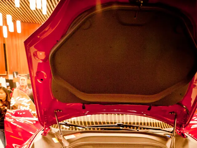 Revolution in tax practices rather than chaos: Vision of DSTG head Florian Köbler