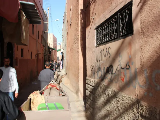 Committee advocates for measures to alleviate troubles