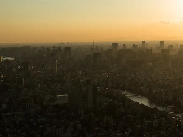 International Business Bid: Euro-Idol Contest Negotiation