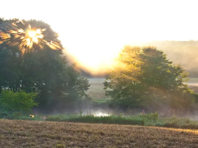 Increasing Profits: Alvarez-Dominguez of Brunel Discusses the Future of Environmental Assets