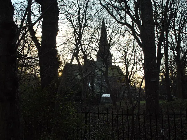 Warning on Financial Matters: Installing New Gas Heating Systems Can Lead to Costly Expenses