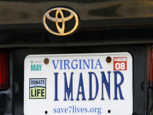 Protecting Your Business Identity: A Five-Step Guide