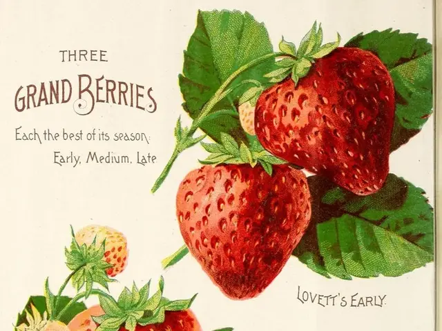 Colgate-Palmolive's Q2 earnings surpass expectations, predicts modest organic sales growth for...