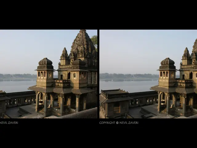 Vow of celibacy, not frugality, should be adopted by Shaolin Temple