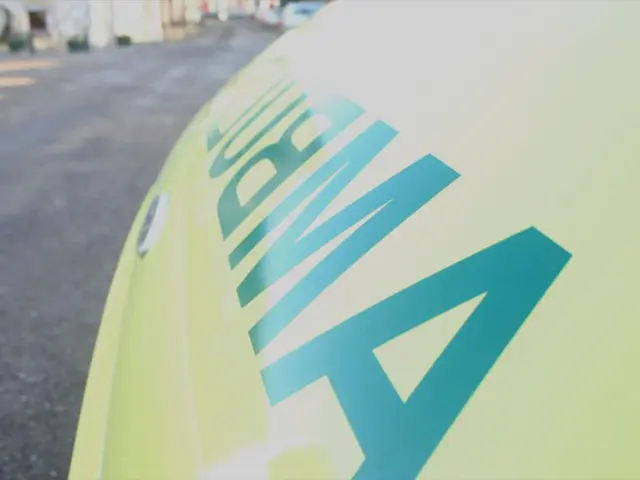 Anticipated relaxation of emissions standards for Hydrogen sector's government subsidies under...