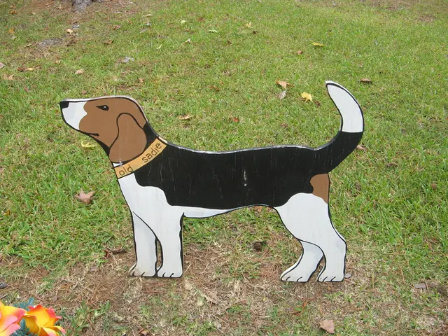 Doge Cost Projection: Anticipate the Next Action for DOGE