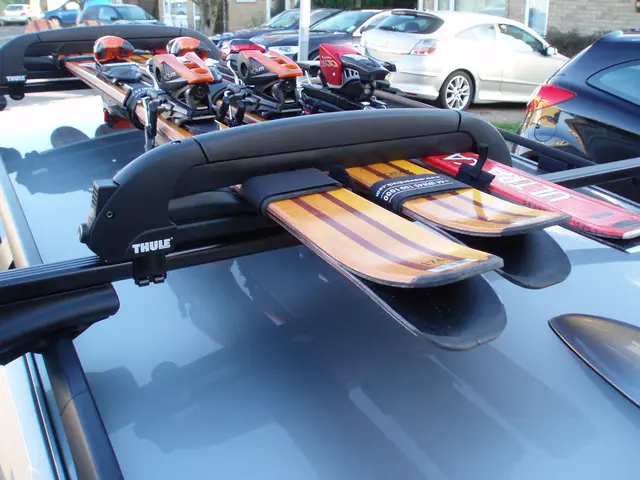 Sochi's cable car, valued at 99.2 million rubles, has been purchased.