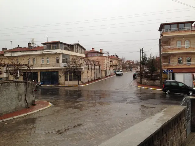 Automakers Mitsubishi and Honda scale back electric vehicle (BEV) investment plans.