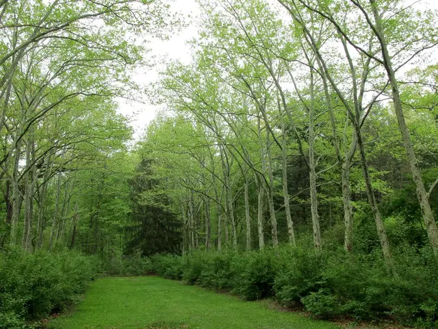 Investors utilizing biodiversity statistics to shape their financial choices