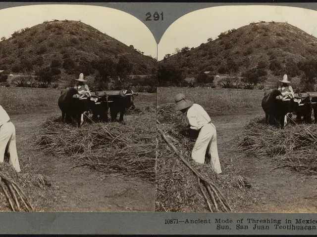 Success for the City: Mining conglomerate abandons plan for New York relocation