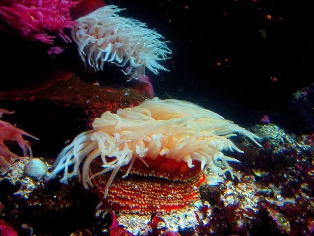 JPMorgan Unveils Worldwide Equity Fund Emphasizing Environmental Responsibility (Named Mansart)