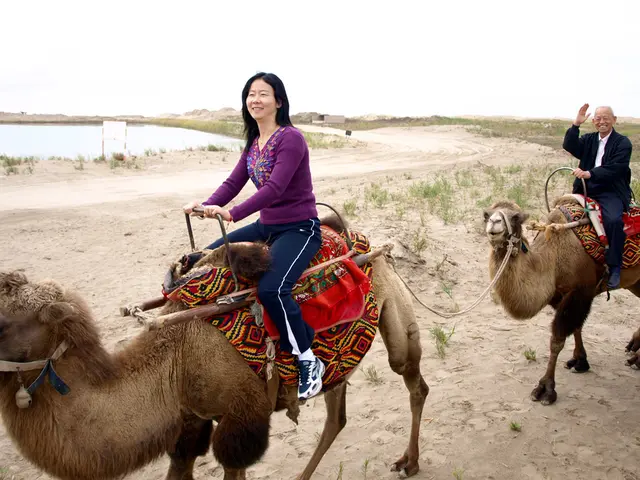 Dropping Saudi Aramco profits by 22 percent due to reduced prices revealed