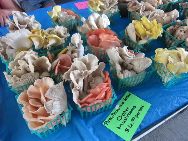 Kraft Heinz Stock: Potential Divestment by Buffett and Berkshire?