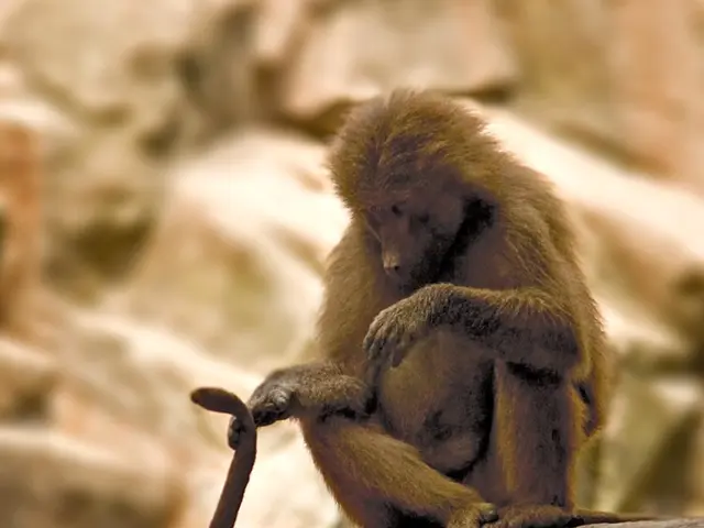 In Tanzania, abandoning fees for card transactions aims to stimulate digital payments, while...