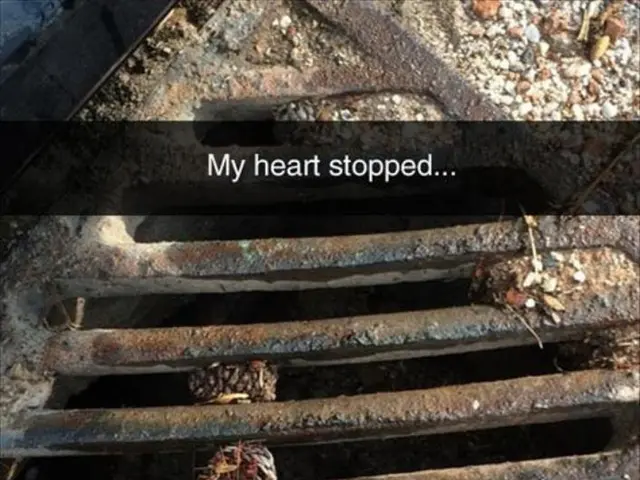 Edelman Germany announces Giese as its new chief executive officer.