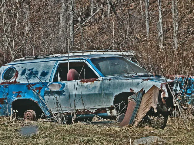 Amendment Grants Permission for Impounding and Scrapping of Abandoned Vehicles at Koidula Border