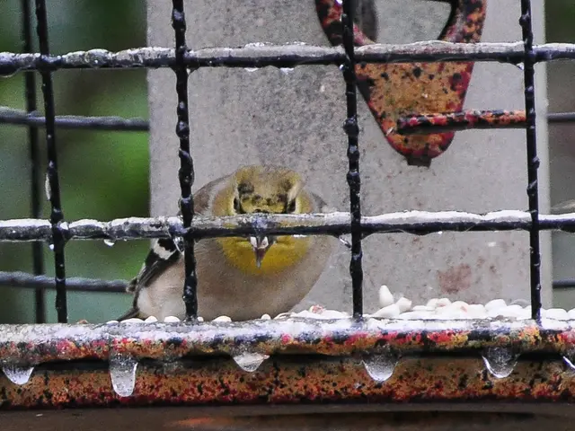 The pursuit persists for new records