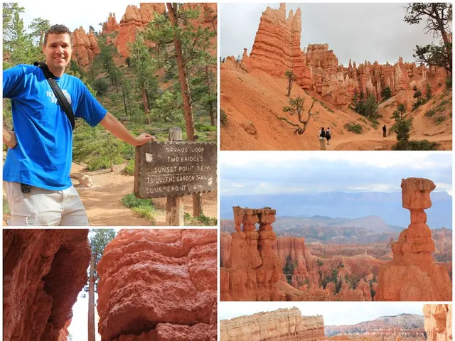 Historical Archive Initiatives