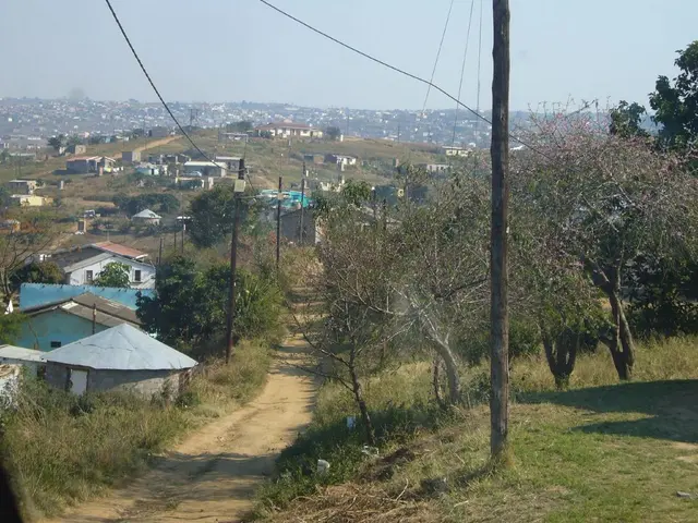 Investment Community Shows Decreased Belief in Inevitability of Low-Carbon Transition According to...