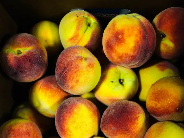 U.S. Push by Apple Bolsters Record High for Nasdaq, at $600 Billion