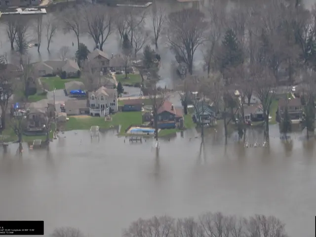 Destruction of trees following a water pipe rupture in Gustav-Stresemann Circle