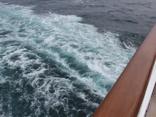 Exploring the Distinctives of Actuarial Science versus Financial Engineering