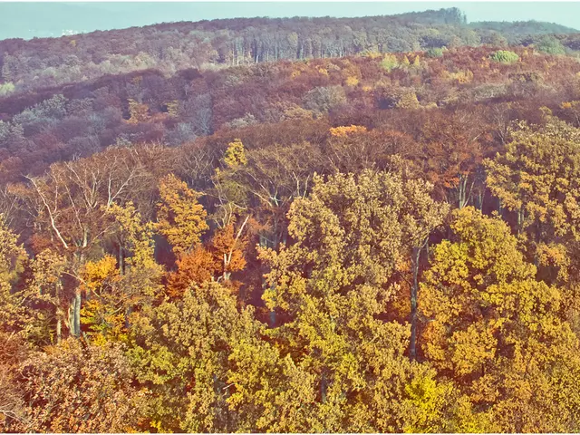 Government investment in renewable energy technologies in the UK is heavily favoring those linked...