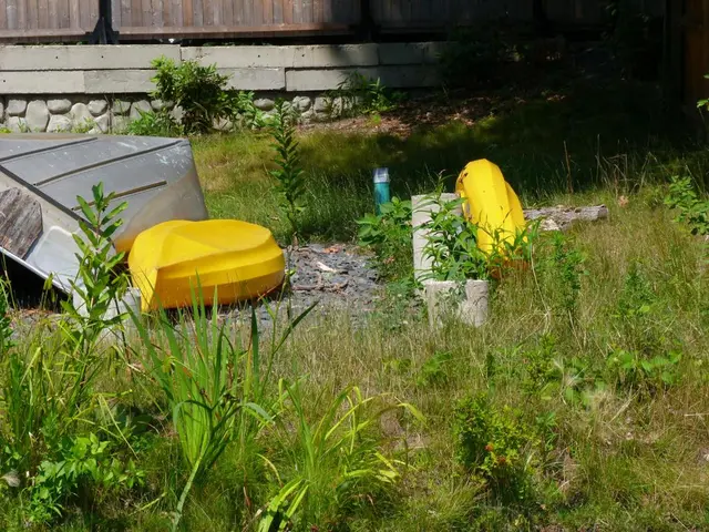 Law signed by President to assist Tor residents with insurance premium payments