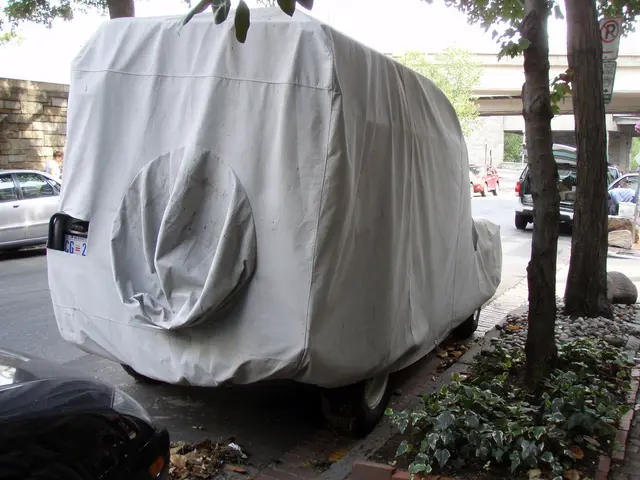 Ecolab's Almy Magalhaes emphasizes the advantage of AI and Machine Learning for functional fleet...