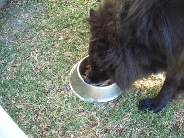 Residents of Petropavlovsk-Kamchatsky are eagerly committing to social agreements