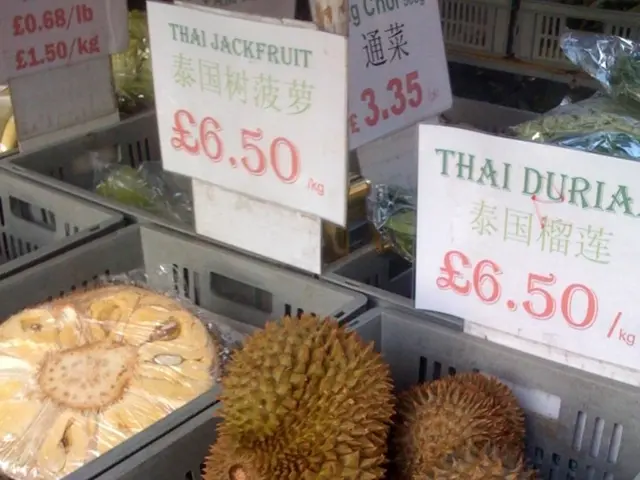 Guide on Purchasing a U.S. Corporation